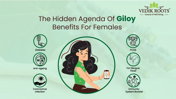 The Hidden Agenda Of Giloy Benefits For Females