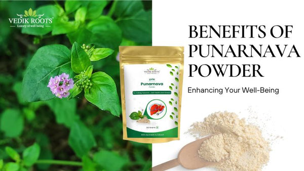 Top 6 Benefits of Punarnava Powder