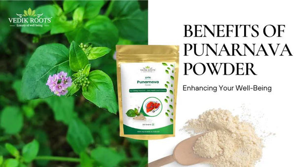 Top 6 Benefits of Punarnava Powder