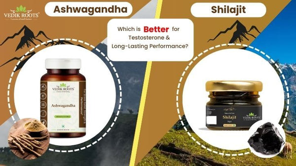 which is better shilajit or ashwagandha?