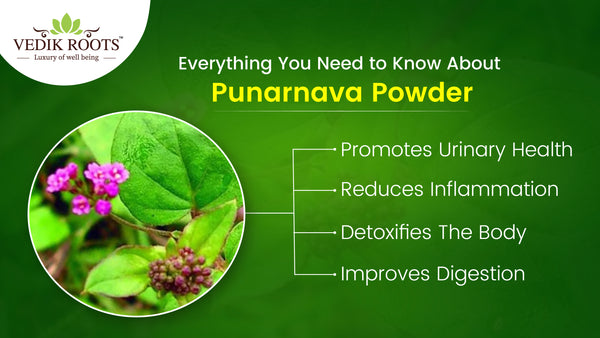 Punarnava powder benefits, Uses, Dosage, and Adverse Effects