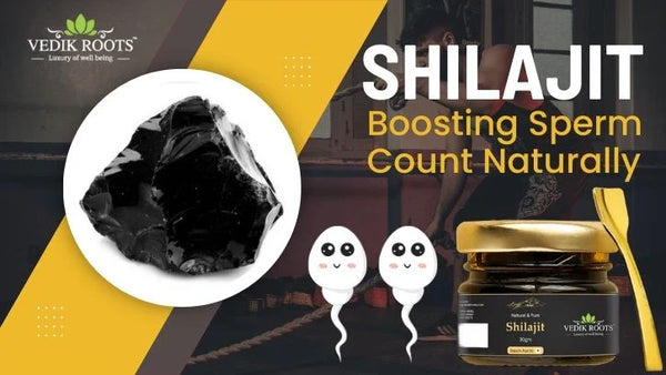 Shilajit: Boosting Sperm Count Naturally