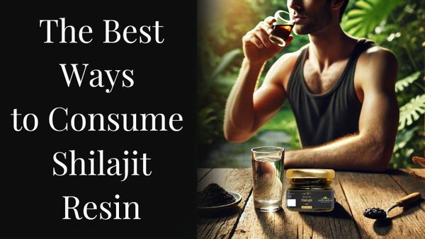 The Best Ways to Consume Shilajit Resin