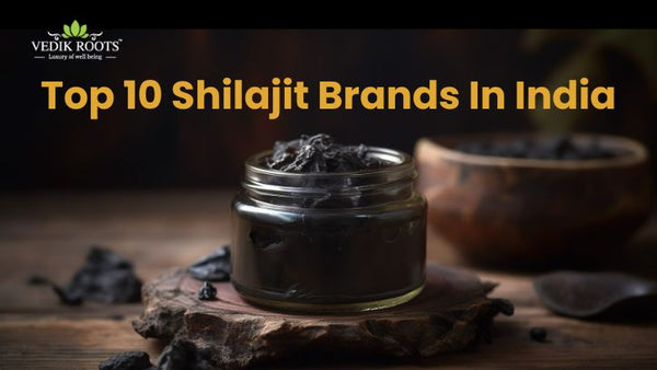 Top 10 Shilajit Brands In India