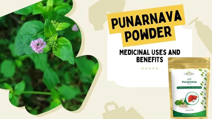 Uses of Punarnava: A Herbal Gem for Wellness