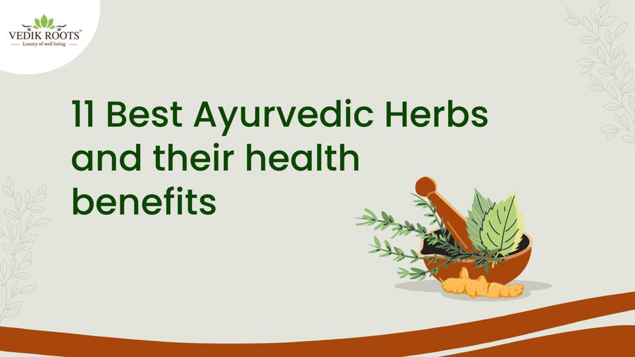 11 Best Ayurvedic Herbs and their health benefits