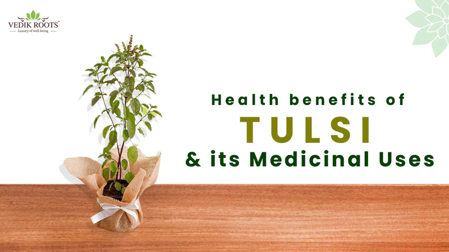 Health benefits of Tulsi Plants & its Medicinal Uses