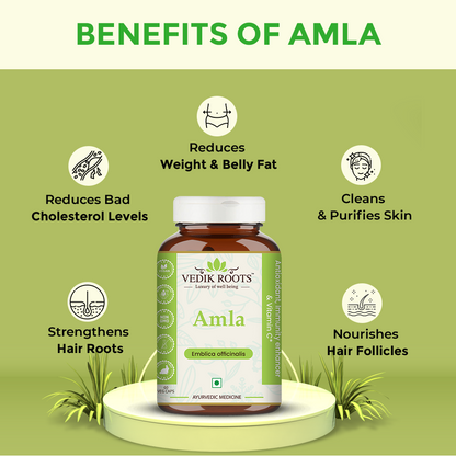 Benefits of Amla 