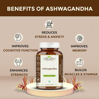 Thumbnail for Benefits of Ashwagandha