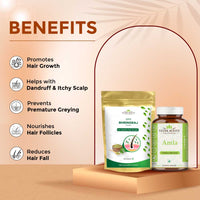 Thumbnail for Bhringraj Powder and Amla Capsules