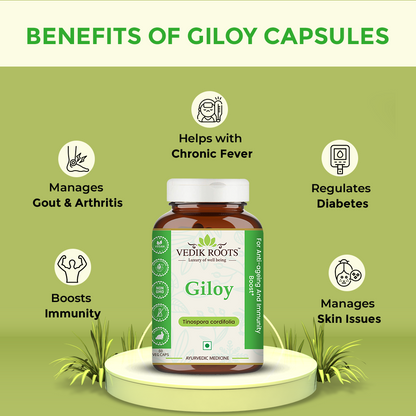 Giloy Capsules - For Immunity | High Fever | Skin Problems | Diabetes